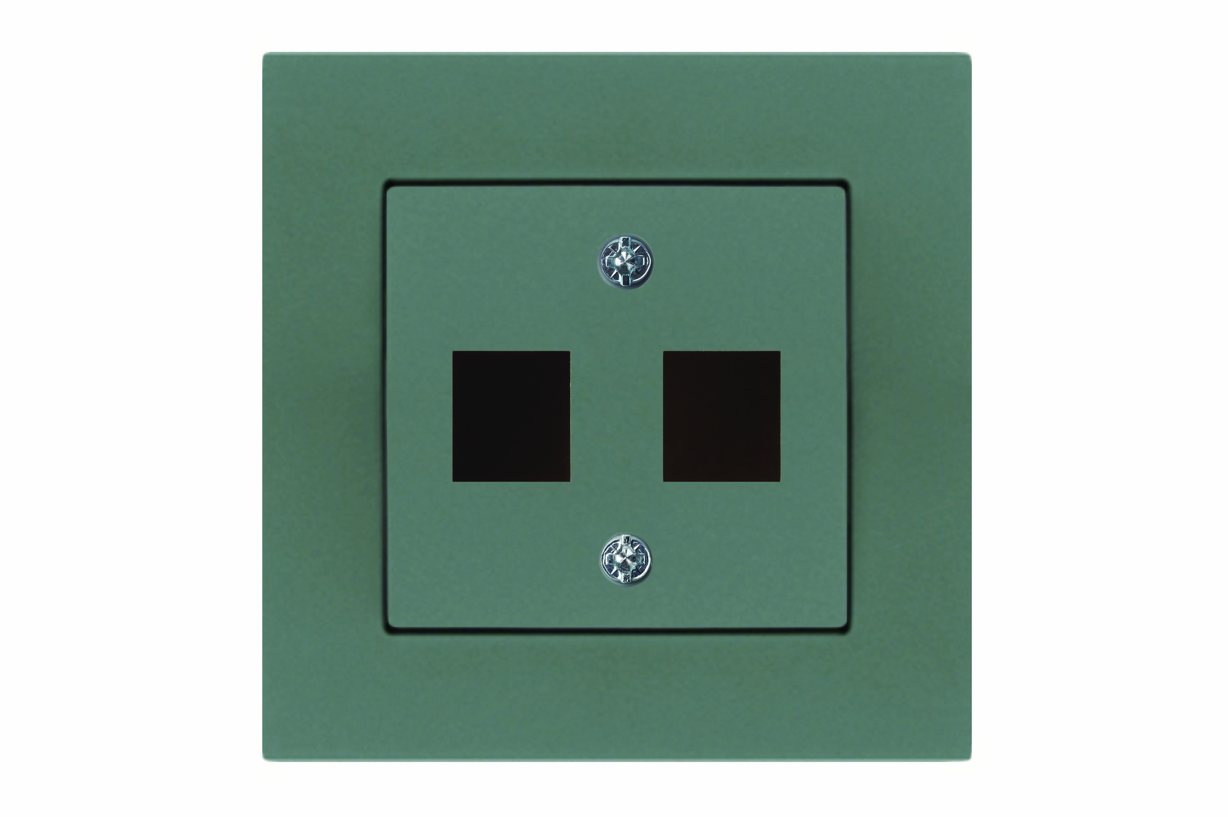 APDAILA (SU ATRAMA) 2X “KEYSTONE” TIPO LIZDAMS, TIESI: KOMP/TELEF/TV/HDMI/USB.  AIKL-022-01.CM