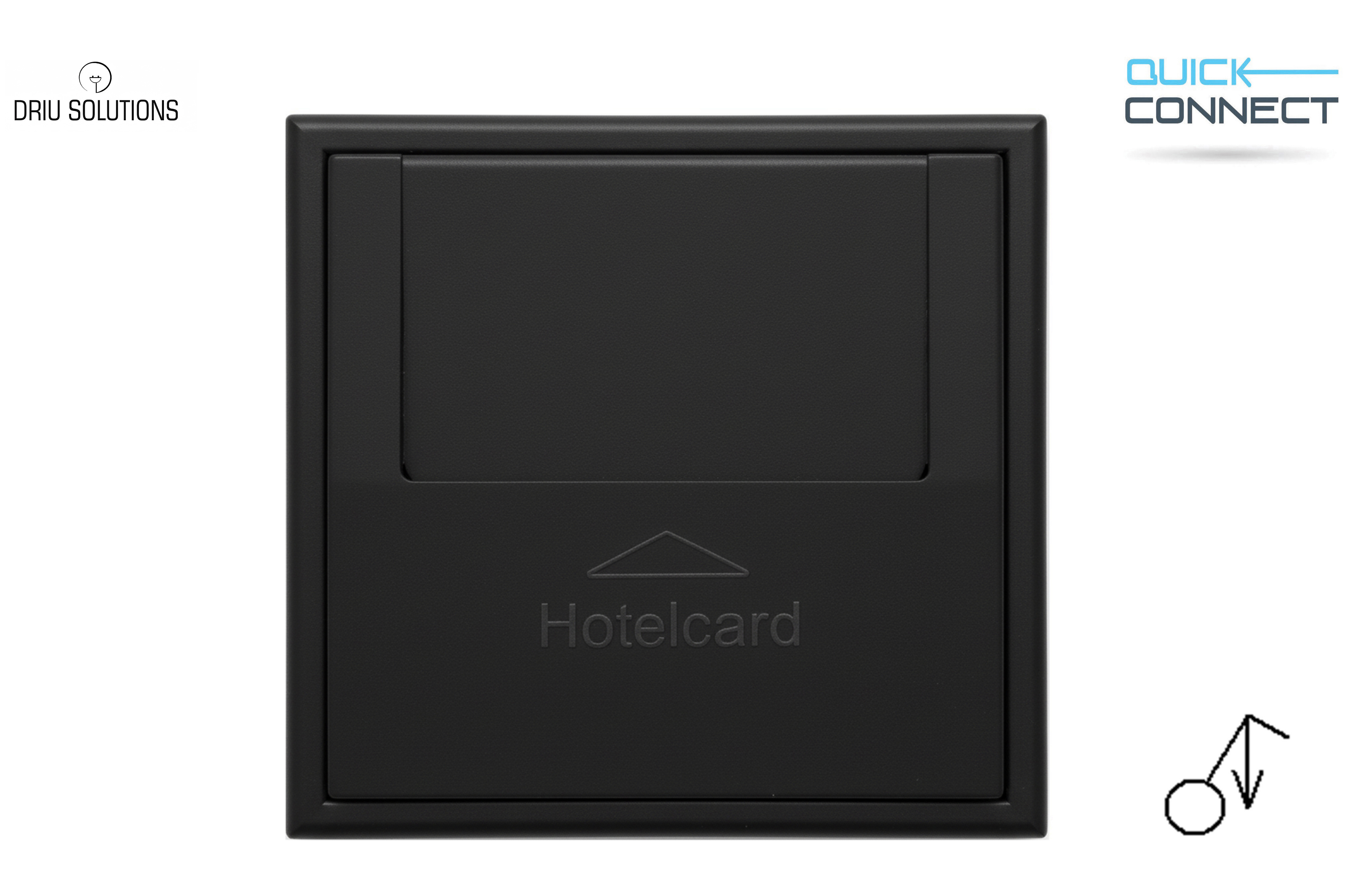 2-polis viešbučio kortelės jungiklis "Profi" su spyr.paj.kontaktais IVKJ2.10-204-01.M/SWM