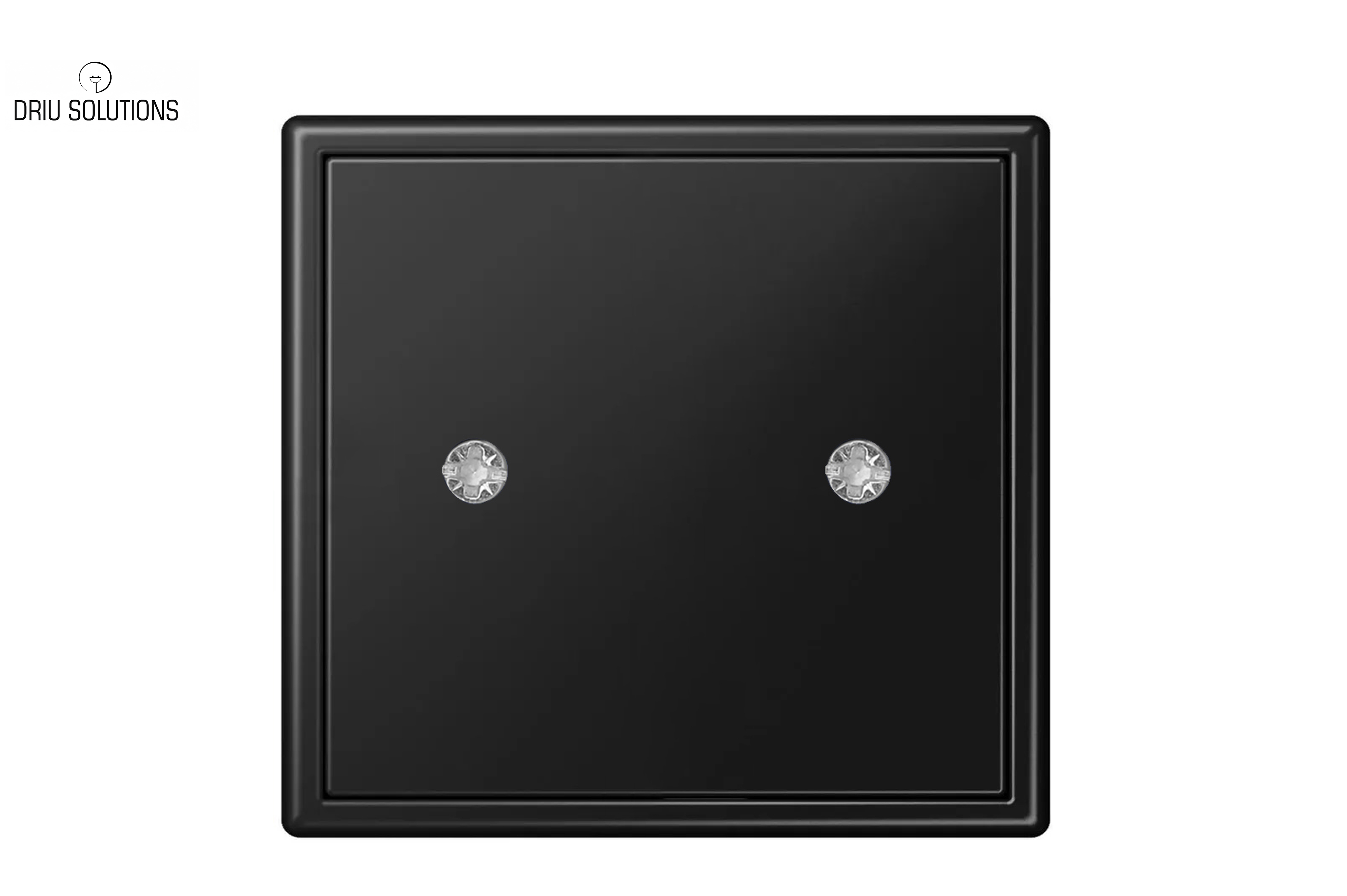 Aklė su tvirtinimo sraigtais. D-001-01.M/SWM